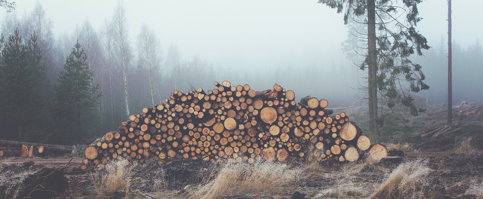 短信验证码轰炸卡盟免费